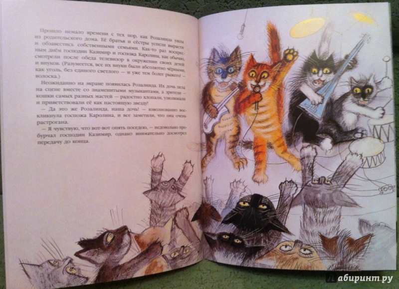 Иллюстрация 18 из 33 для История про кошку Розалинду, непохожую на других - Петр Вилкон | Лабиринт - книги. Источник: Kyu82