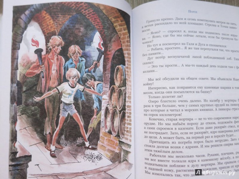 Иллюстрация 9 из 32 для Дети синего фламинго - Владислав Крапивин | Лабиринт - книги. Источник: Юта
