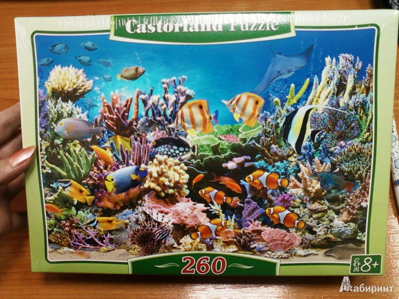 Иллюстрация 3 из 18 для Puzzle-260 MIDI "Цвета океана" (B-27279) | Лабиринт - игрушки. Источник: lettrice