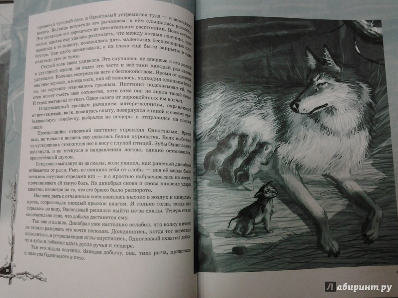 Иллюстрация 27 из 33 для Белый клык - Джек Лондон | Лабиринт - книги. Источник: Olga