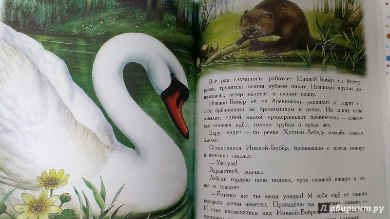Иллюстрация 16 из 36 для Сказки для детей - Виталий Бианки | Лабиринт - книги. Источник: Савчук Ирина