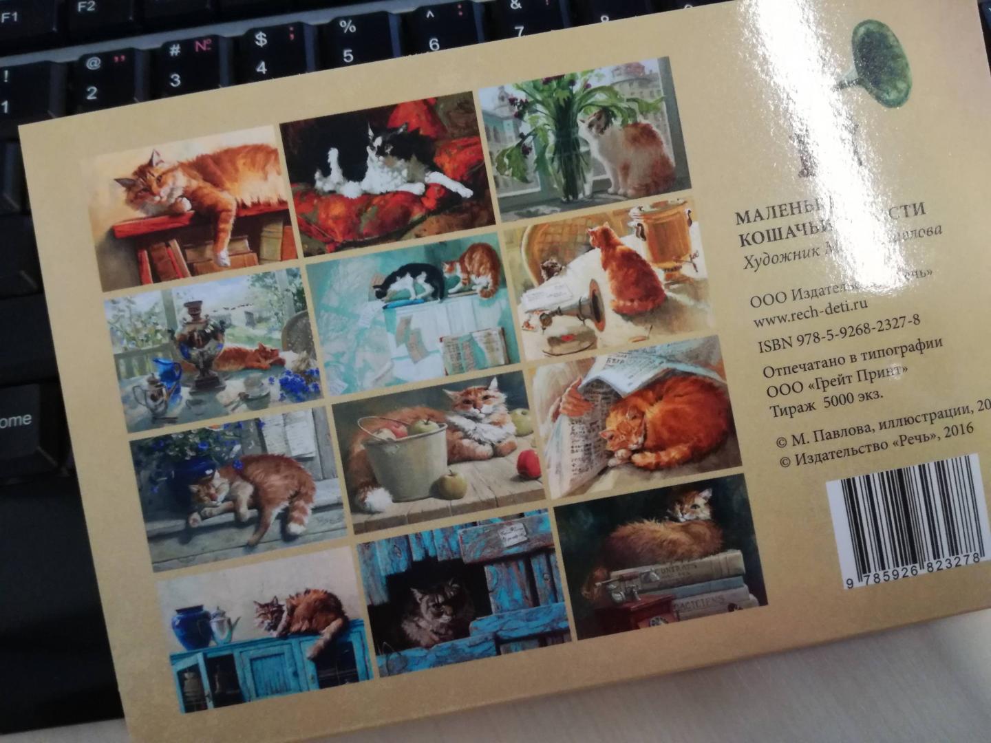 Иллюстрация 28 из 29 для Маленькие кошачьи радости. Набор открыток | Лабиринт - сувениры. Источник: Анастасия Мезенцева