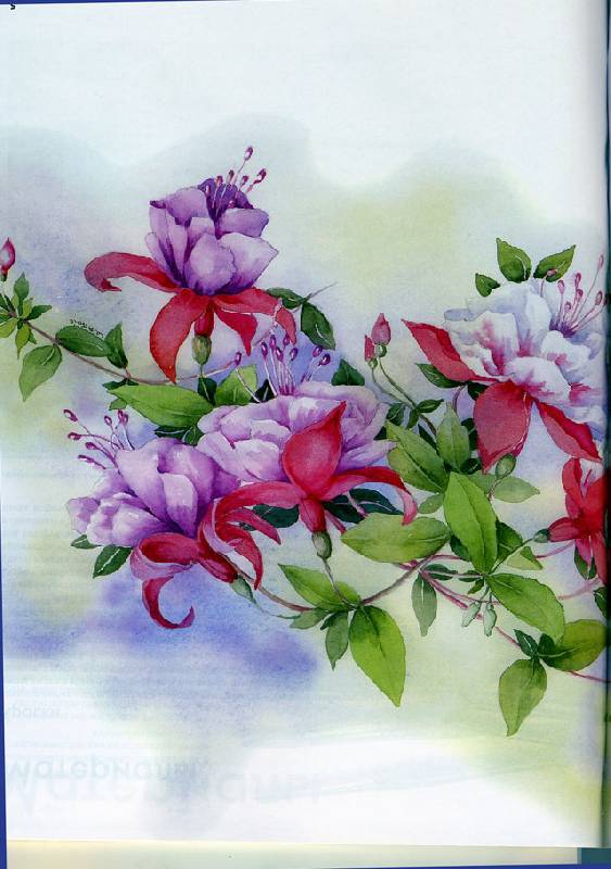 Иллюстрация 4 из 22 для Рисуем по схемам. Цветы. Акварель - Венди Тэйт | Лабиринт - книги. Источник: Иванна