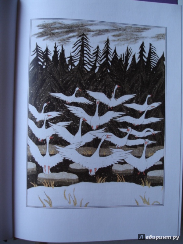 Иллюстрация 21 из 47 для Удивительное путешествие Нильса Хольгерссона с дикими гусями по Швеции - Сельма Лагерлеф | Лабиринт - книги. Источник: Blackboard_Writer