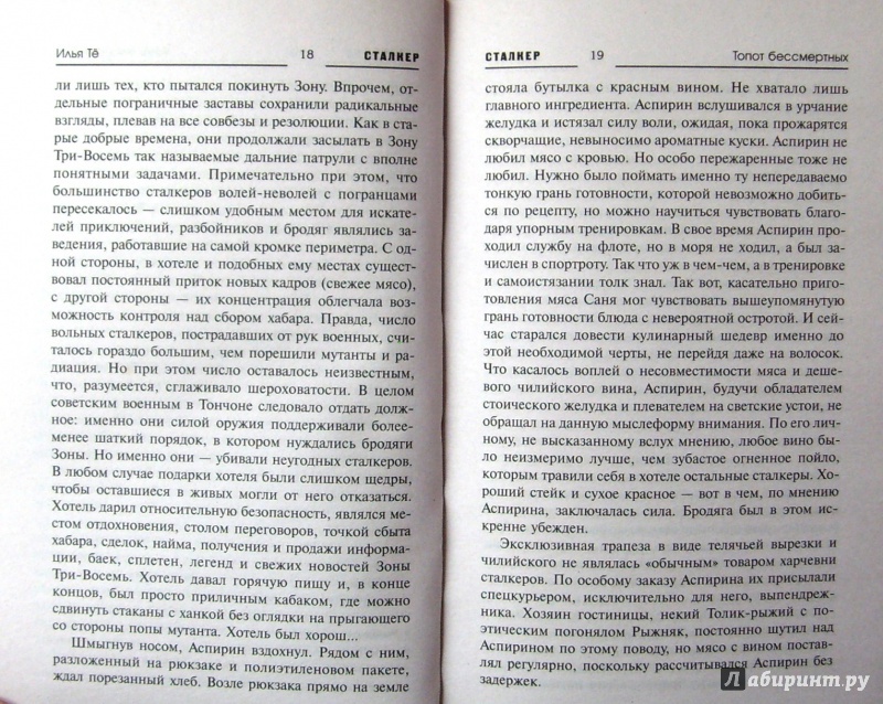 Иллюстрация 15 из 24 для Радиант Пильмана: Топот бессмертных - Илья Тё | Лабиринт - книги. Источник: Соловьев  Владимир