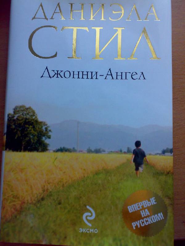 Иллюстрация 1 из 6 для Джонни-Ангел - Даниэла Стил | Лабиринт - книги. Источник: Решетникова  Любовь