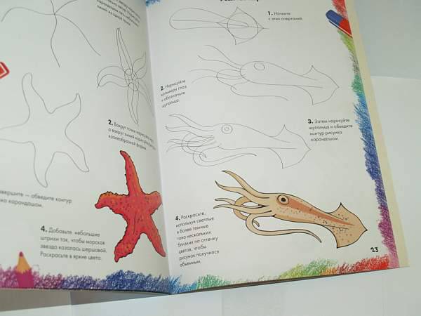 Иллюстрация 17 из 36 для Рисуем морских животных, рыб и птиц | Лабиринт - книги. Источник: Cовушка