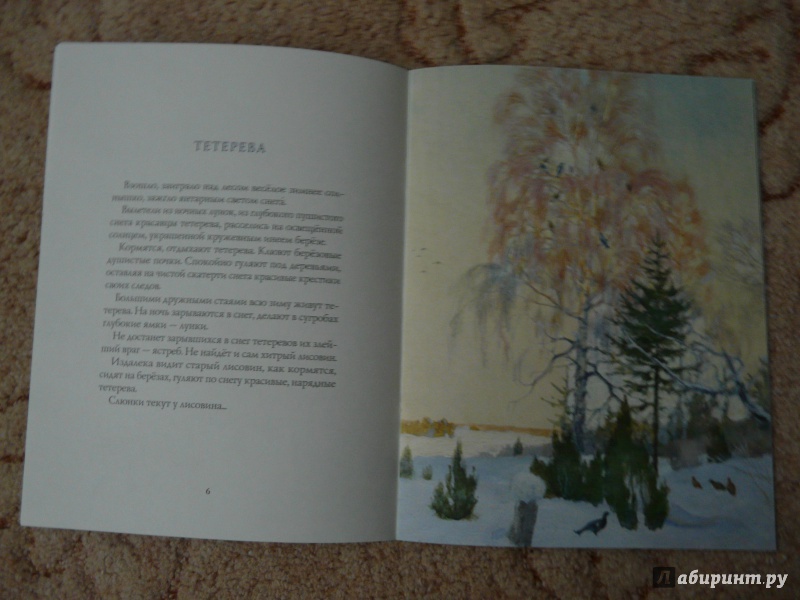 Иллюстрация 8 из 64 для Зима в лесу - Иван Соколов-Микитов | Лабиринт - книги. Источник: Псевдоним
