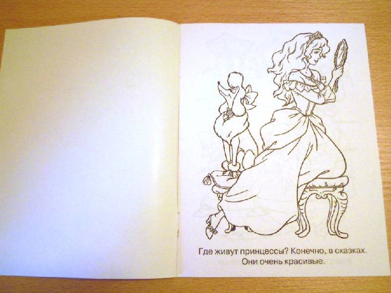 Иллюстрация 2 из 6 для Мечты принцесс. Зеленая книжка. Раскраска | Лабиринт - книги. Источник: Iwolga