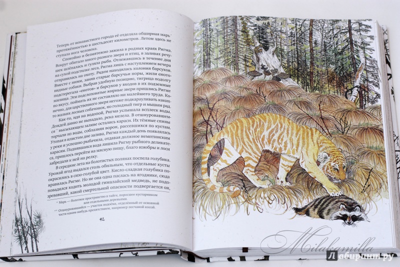 Иллюстрация 127 из 154 для Золотая Ригма - Всеволод Сысоев | Лабиринт - книги. Источник: Букландия