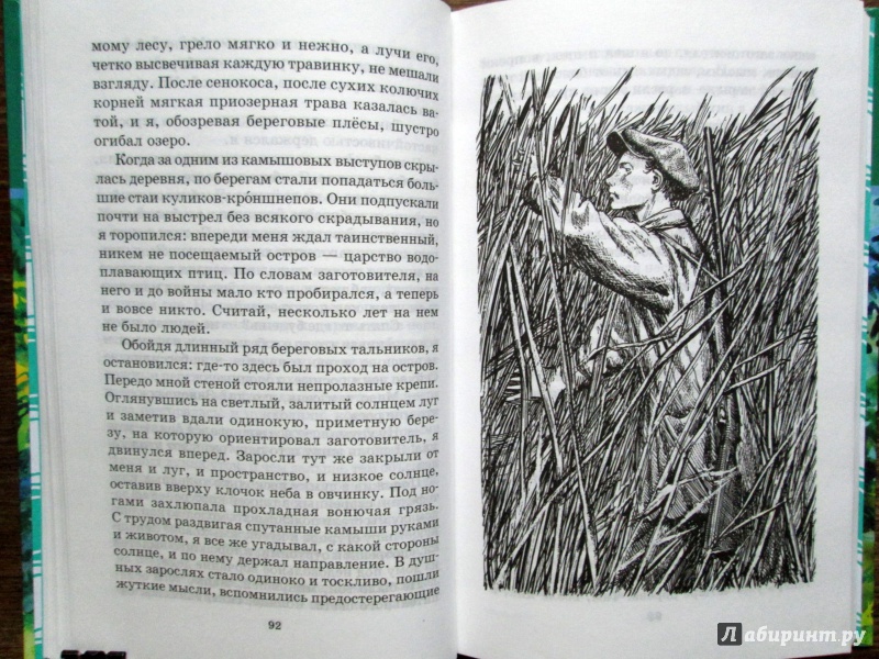 Иллюстрация 8 из 13 для Живая душа - Л. Трутнев | Лабиринт - книги. Источник: Зеленая шляпа