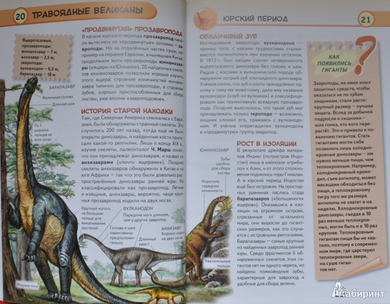 Иллюстрация 14 из 23 для Динозавры. Ящеры мезозойской эры - Юлия Школьник | Лабиринт - книги. Источник: NDusha