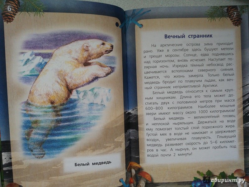 Иллюстрация 6 из 21 для Хищные звери - Александр Тихонов | Лабиринт - книги. Источник: Melaschka