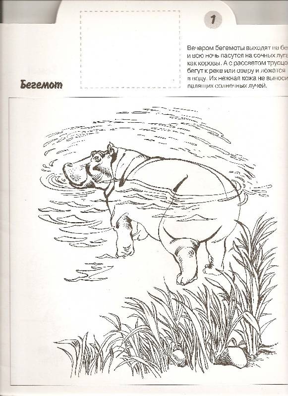 Иллюстрация 2 из 8 для Млекопитающие - Николай Дроздов | Лабиринт - книги. Источник: ТОЧКА