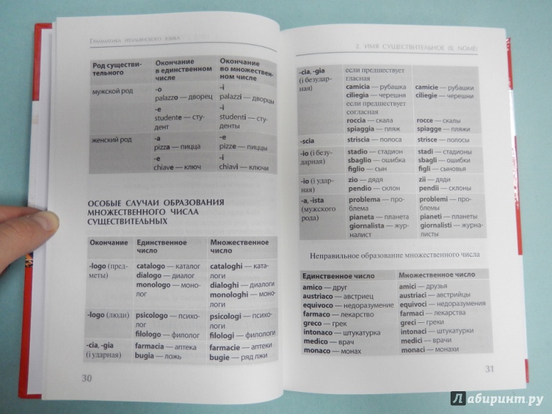 Иллюстрация 8 из 23 для Грамматика итальянского языка - Буэно, Грушевская | Лабиринт - книги. Источник: dbyyb