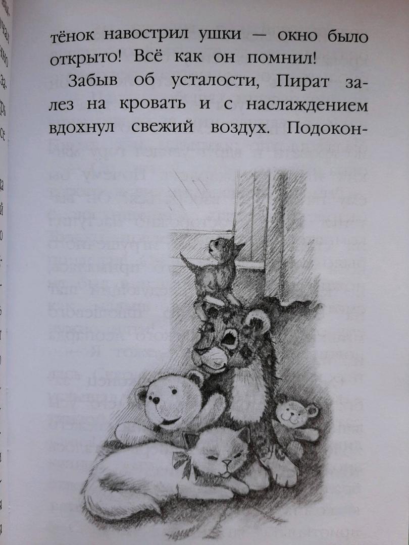 Иллюстрация 43 из 56 для Котёнок Пират, или Ловкий коготь - Холли Вебб | Лабиринт - книги. Источник: Елена Рясная