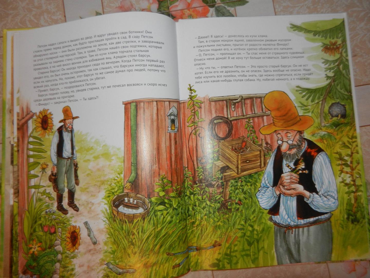 Иллюстрация 92 из 102 для История о том как Финдус потерялся, когда был маленьким - Свен Нурдквист | Лабиринт - книги. Источник: Сидоренко  Светлана Вячеславовна