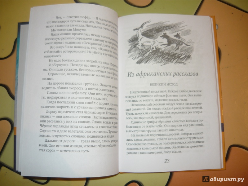 Иллюстрация 22 из 28 для Акула на песке - Святослав Сахарнов | Лабиринт - книги. Источник: Костина  Наталья Алексеевна