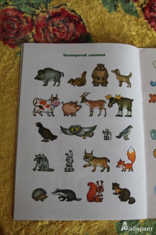 Иллюстрация 11 из 13 для Дикие животные | Лабиринт - книги. Источник: Июльчик
