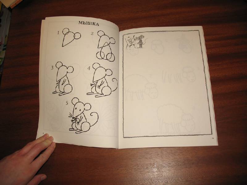 Иллюстрация 24 из 28 для Обучение рисованию. Рисуем животных | Лабиринт - книги. Источник: К Л Я К С А