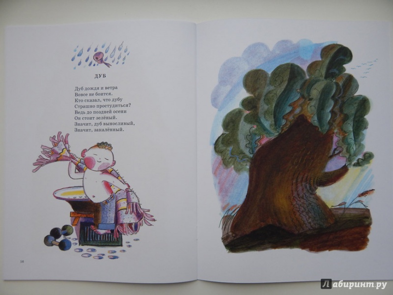 Иллюстрация 22 из 60 для Деревья - Ирина Токмакова | Лабиринт - книги. Источник: Мелкова  Оксана
