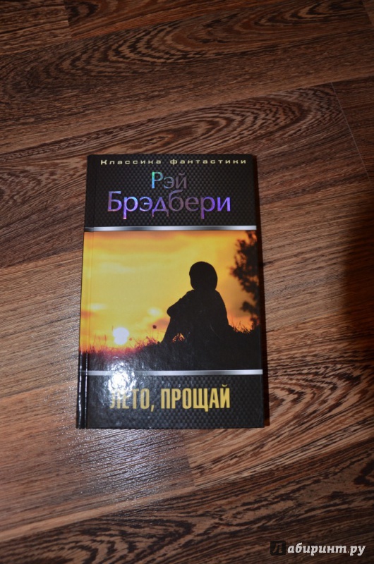 Иллюстрация 7 из 8 для Лето, прощай - Рэй Брэдбери | Лабиринт - книги. Источник: Хранительница книг