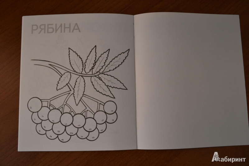 Иллюстрация 14 из 23 для Самолёт | Лабиринт - книги. Источник: juli_pani