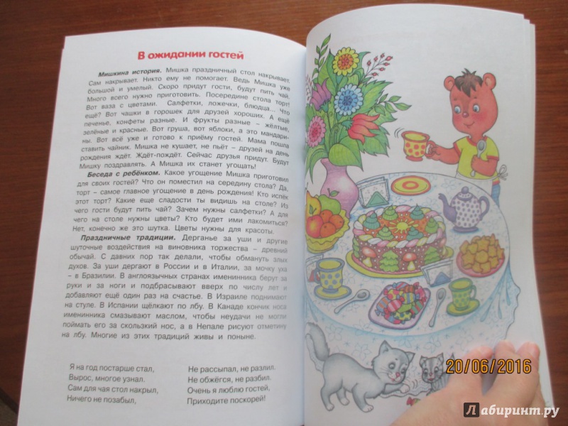 Иллюстрация 4 из 10 для Мишкин праздник. Беседы по картинкам о том, как Мишка пригласил друзей на свой день рождения - Лыкова, Шипунова | Лабиринт - книги. Источник: Марина Епифанцева