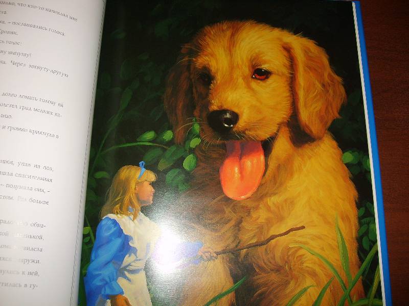 Иллюстрация 21 из 30 для Алиса в стране Чудес - Льюис Кэрролл | Лабиринт - книги. Источник: tatiana