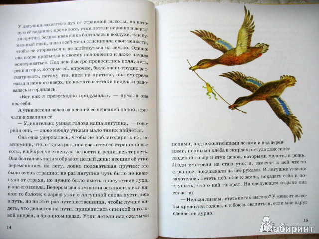 Иллюстрация 7 из 51 для Лягушка-путешественница | Лабиринт - книги. Источник: kolobus