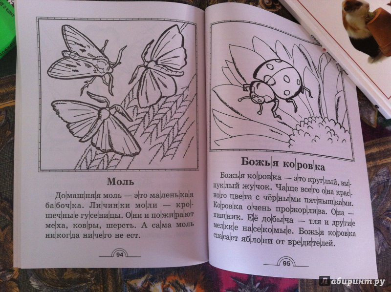 Иллюстрация 18 из 23 для 100 познавательных текстов для обучения детей чтению - Узорова, Нефедова | Лабиринт - книги. Источник: ИрМур