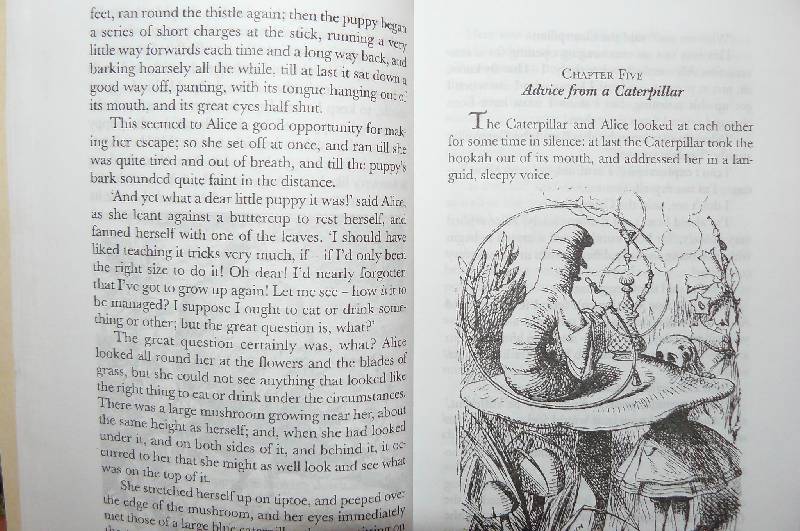 Иллюстрация 14 из 24 для Alice in Wonderland and Through the Looking-Glass - Lewis Carroll | Лабиринт - книги. Источник: zair
