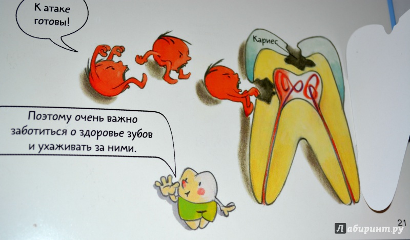 Иллюстрация 53 из 145 для Зубная книга. Все о твоих молочных зубах - Ивона Радюнц | Лабиринт - книги. Источник: Мама-Шурика  .