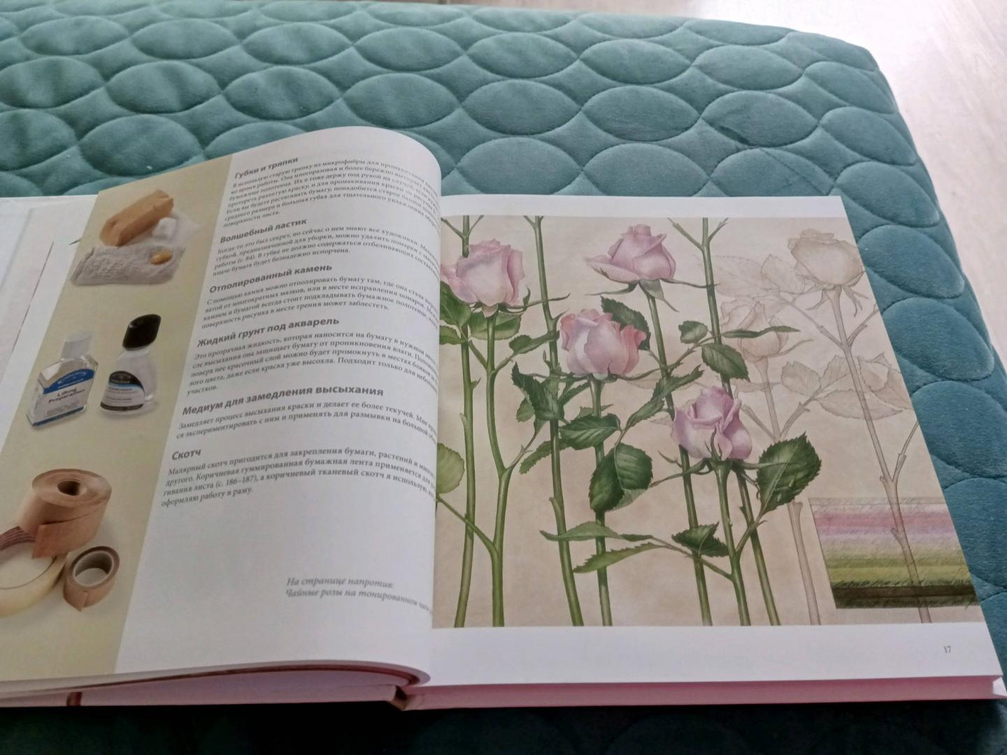 Иллюстрация 74 из 80 для Ботанические портреты. Практическое руководство по рисованию акварелью - Билли Шоуэлл | Лабиринт - книги. Источник: Лабиринт