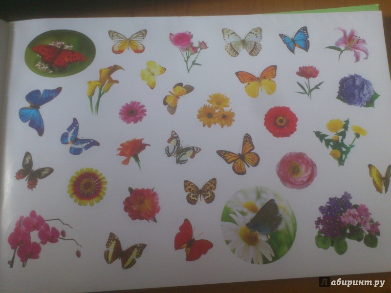 Иллюстрация 16 из 20 для 400 наклеек. Мир цветов и бабочек | Лабиринт - книги. Источник: Зеленкова  Екатерина