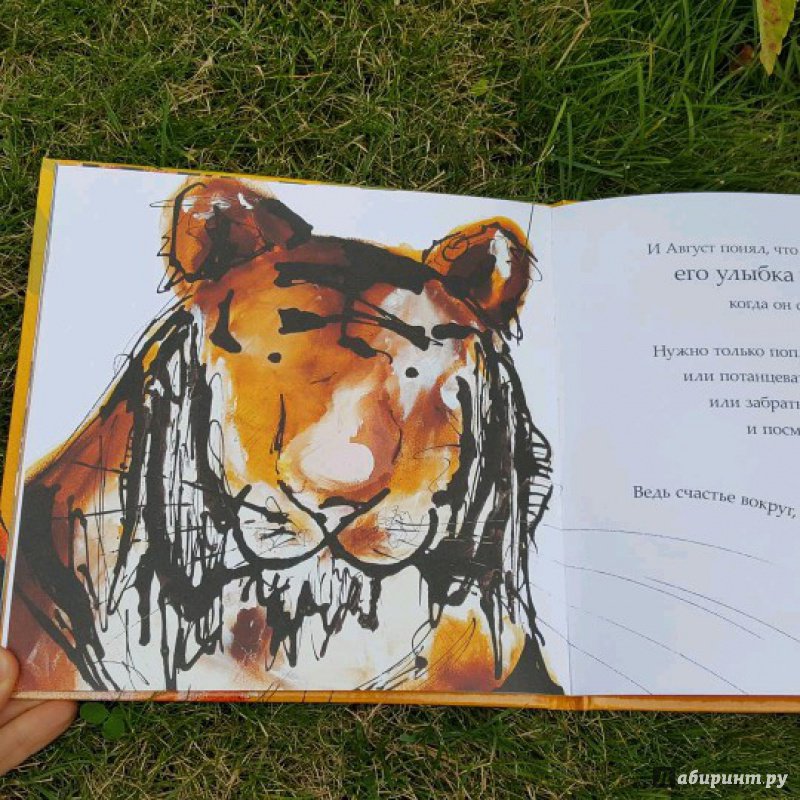 Иллюстрация 27 из 48 для Как тигр Август потерял улыбку - Кэтрин Райнер | Лабиринт - книги. Источник: Федулова  Анна Алексеевна