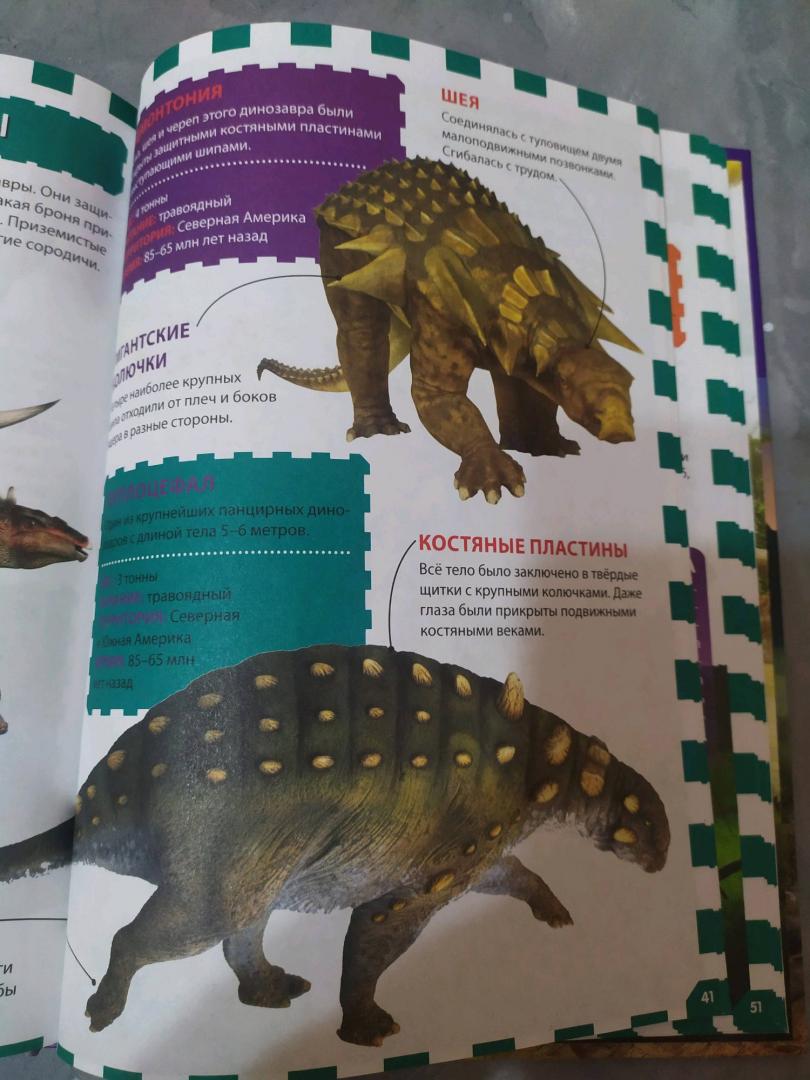 Иллюстрация 36 из 36 для Динозавры | Лабиринт - книги. Источник: Лабиринт