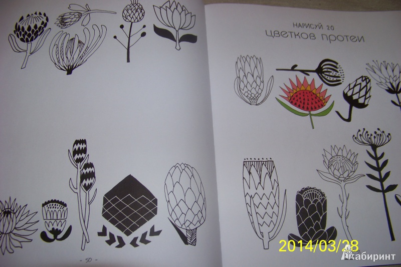 Иллюстрация 22 из 38 для 20 способов нарисовать тюльпан и 44 других прекрасных цветка - Лиза Конгдон | Лабиринт - книги. Источник: G