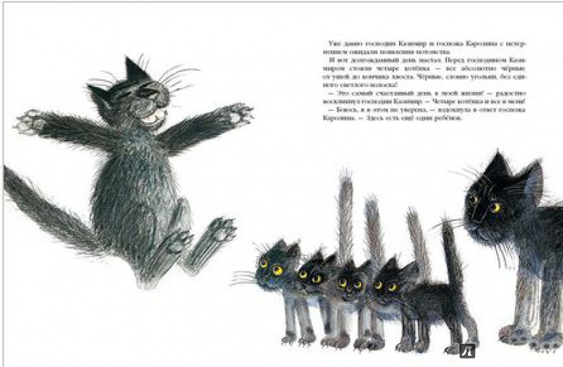 Иллюстрация 7 из 33 для История про кошку Розалинду, непохожую на других - Петр Вилкон | Лабиринт - книги. Источник: angela_kvitka