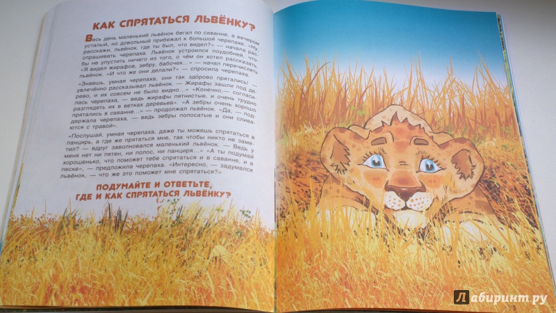 Иллюстрация 23 из 31 для Большие открытия маленького львенка - Владимир Богат | Лабиринт - книги. Источник: Надежда