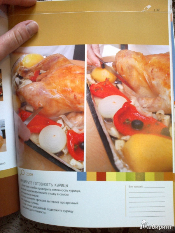 Иллюстрация 5 из 14 для Кулинарные курсы с шеф-поваром. Салаты, закуски и горячее из курицы | Лабиринт - книги. Источник: Mariyka