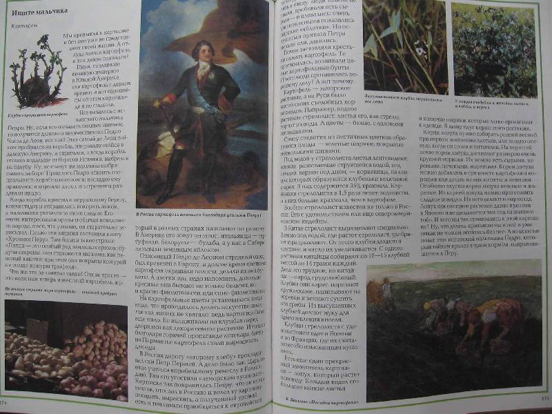 Иллюстрация 14 из 37 для Удивительный мир растений - Виктор Калашников | Лабиринт - книги. Источник: Red cat ;)