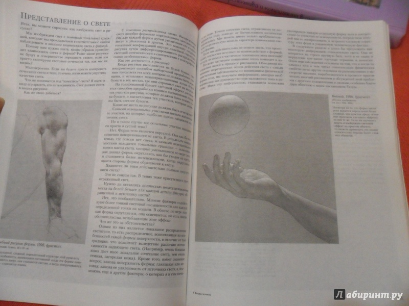 Иллюстрация 19 из 42 для Полное руководство по рисованию фигуры человека - Энтони Райдер | Лабиринт - книги. Источник: sleits