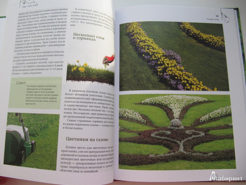 Иллюстрация 3 из 12 для Газон, живая изгородь, дорожки на садовом участке - Анастасия Скворцова | Лабиринт - книги. Источник: DoNNa.С