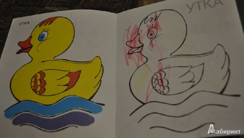 Иллюстрация 4 из 10 для Малышам и Малышкам. Раскраска Кошечка | Лабиринт - книги. Источник: mashikmur