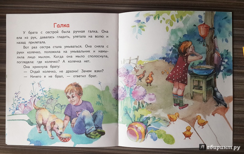 Иллюстрация 29 из 32 для Храбрый утёнок - Борис Житков | Лабиринт - книги. Источник: Лиса