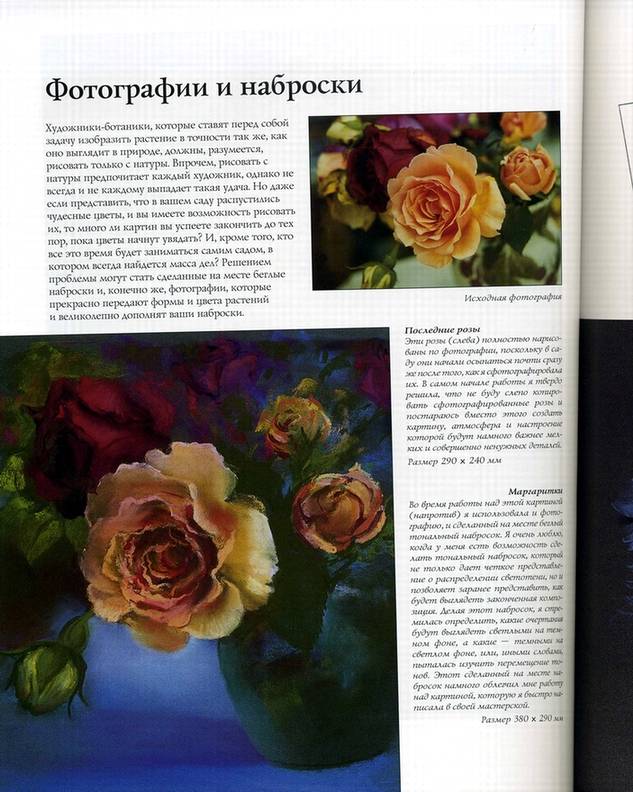 Иллюстрация 5 из 6 для Рисуем цветы пастелью - Маргарет Эванс | Лабиринт - книги. Источник: * Ольга *
