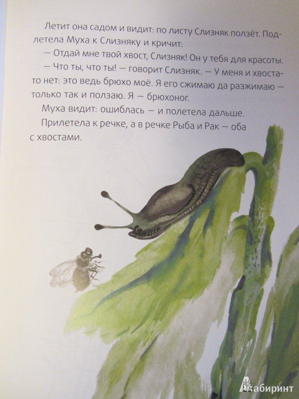 Иллюстрация 16 из 29 для Хвосты - Виталий Бианки | Лабиринт - книги. Источник: Сандракова Юля