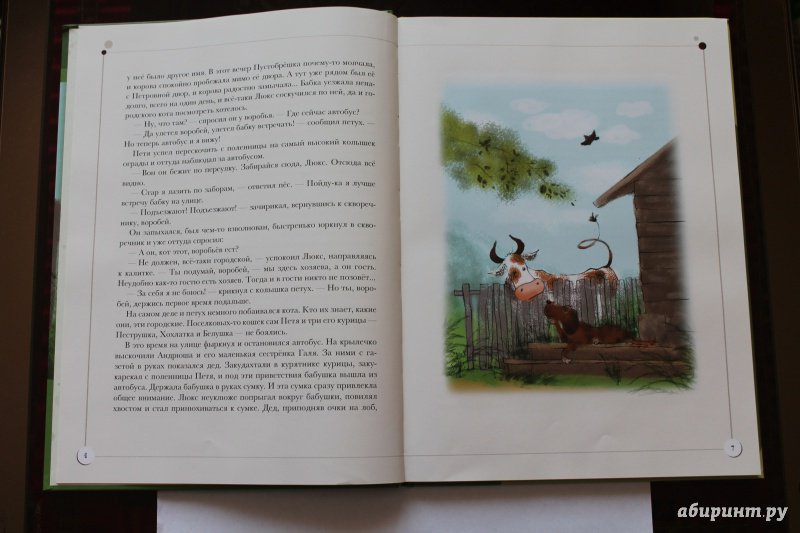 Иллюстрация 73 из 83 для Каникулы кота Егора - Николай Наволочкин | Лабиринт - книги. Источник: GO!