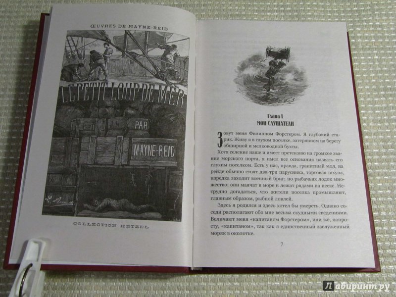 Иллюстрация 9 из 55 для Морской волчонок, или на дне трюма. Скитальцы Борнео, или Капитан Редвуд - Рид Майн | Лабиринт - книги. Источник: leo tolstoy